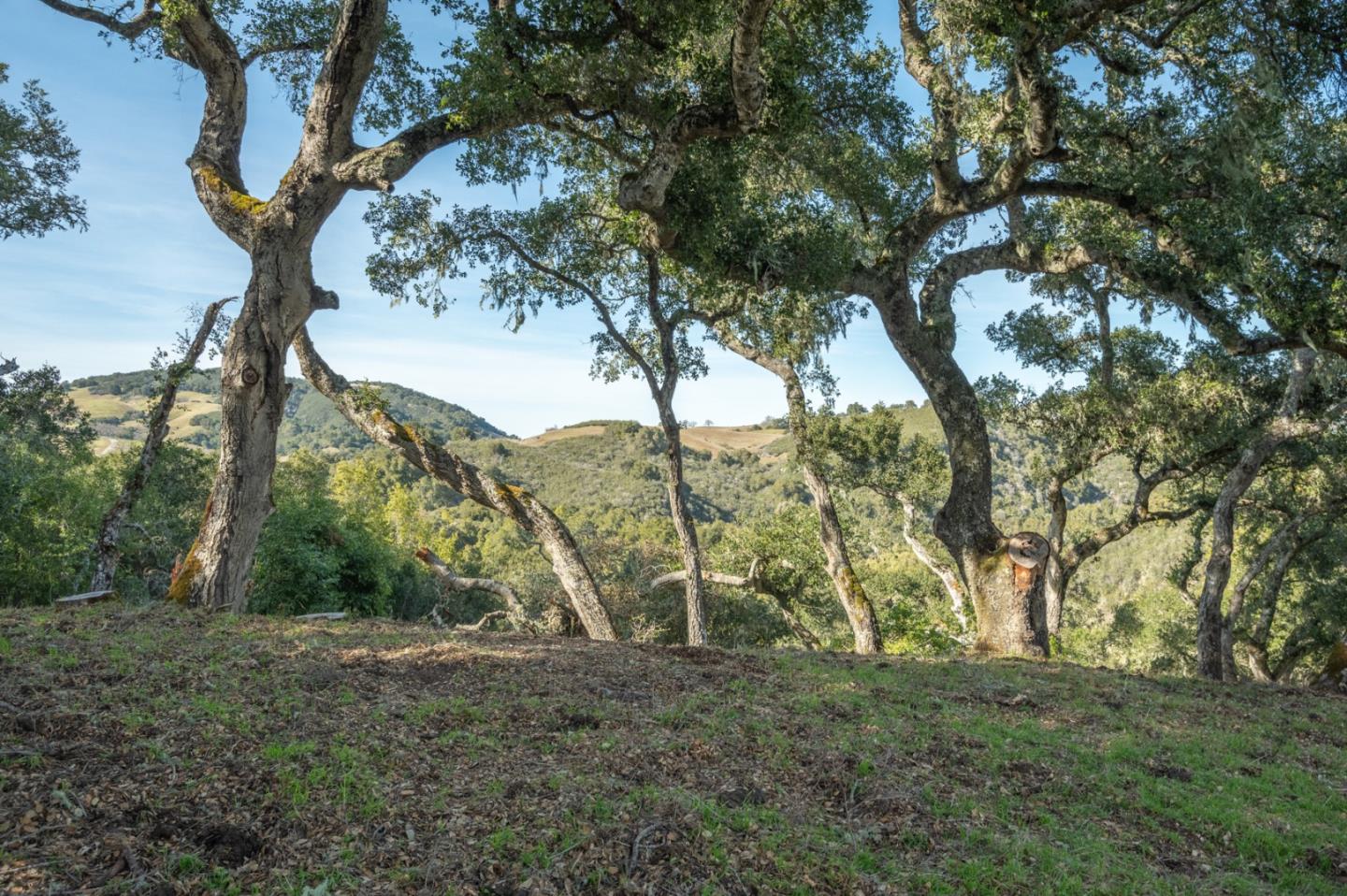 5 Vasquez Trail (Lot 170), Carmel, California 93923, ,Land,For Sale,5 Vasquez Trail (Lot 170),ML81935029