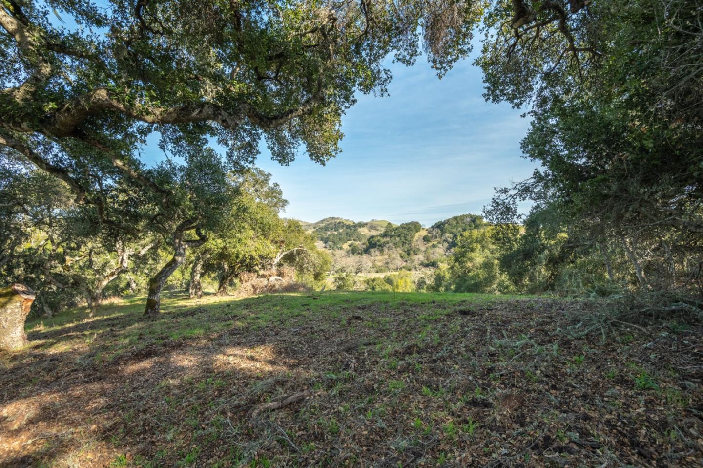 5 Vasquez Trail (Lot 170), Carmel, California 93923, ,Land,For Sale,5 Vasquez Trail (Lot 170),ML81935029