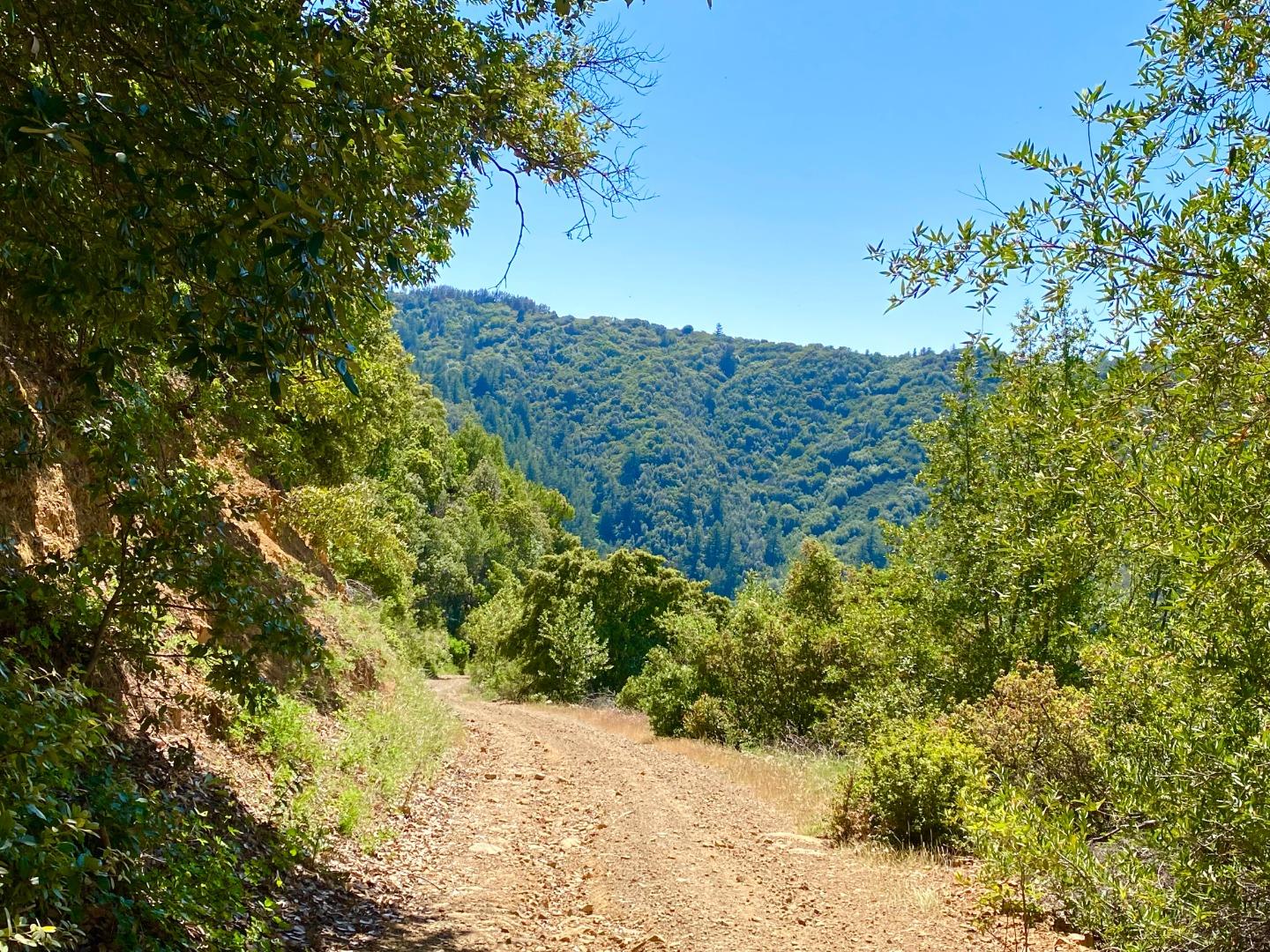 Detail Gallery Image 32 of 53 For 0 Mt Chual, Los Gatos,  CA 95030 - – Beds | – Baths