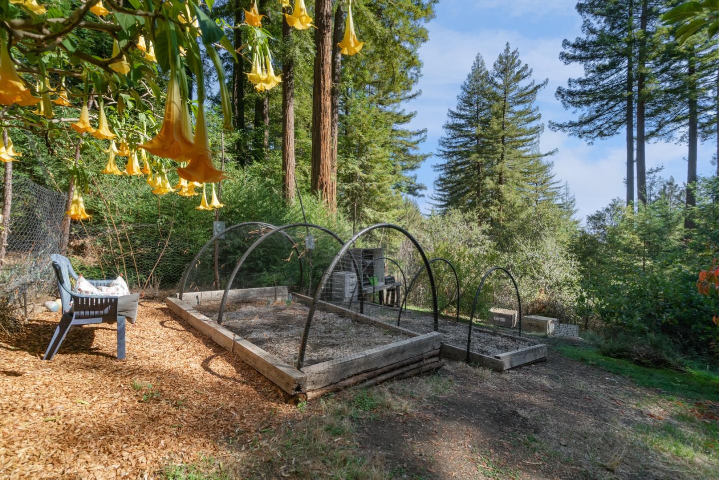 Detail Gallery Image 36 of 74 For 6121 Fern Flat Rd, Aptos,  CA 95003 - 2 Beds | 1 Baths