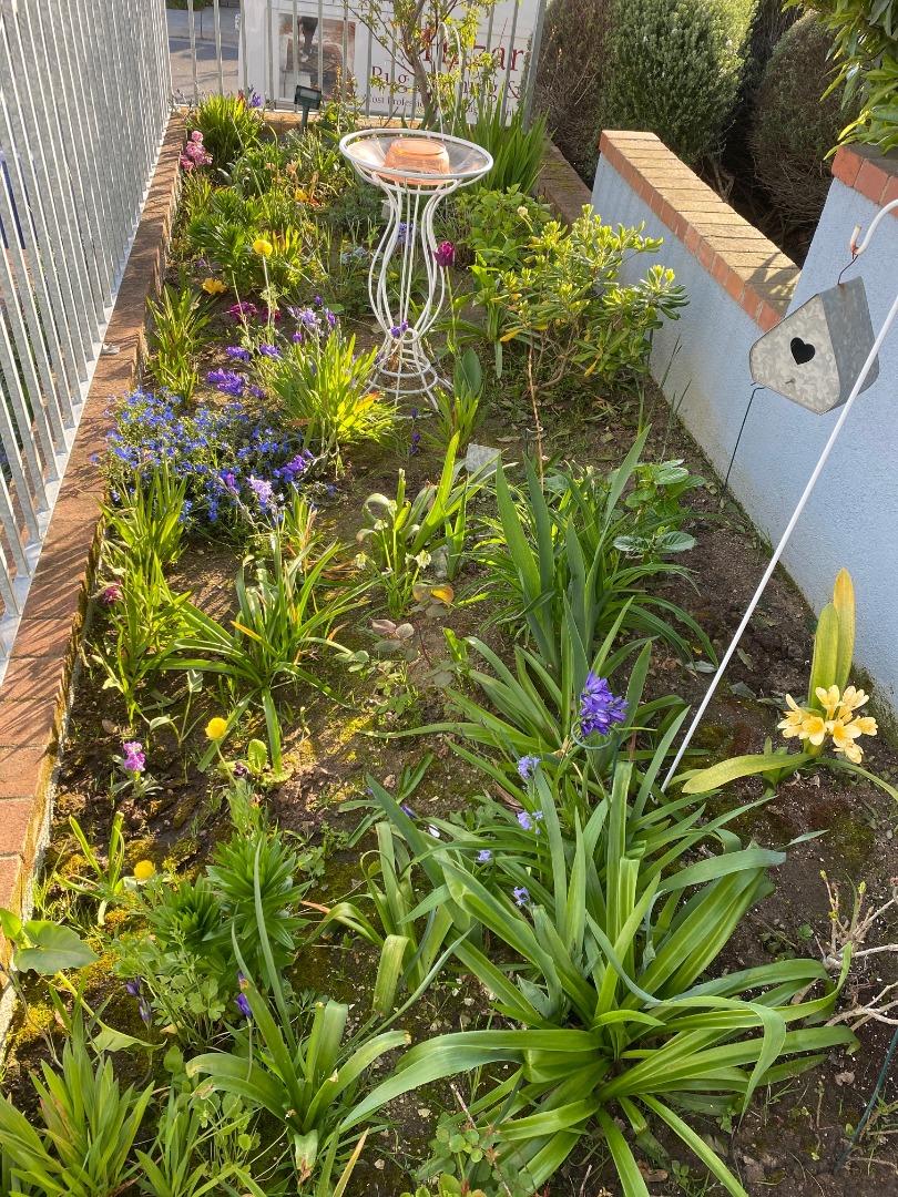 Detail Gallery Image 25 of 32 For 621 Mcclellan Ave #STUDIO,  Monterey,  CA 93940 - 0 Beds | 1 Baths