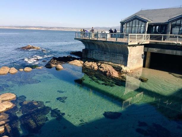 Detail Gallery Image 36 of 36 For 621 Mcclellan Ave #STUDIO,  Monterey,  CA 93940 - 0 Beds | 1 Baths