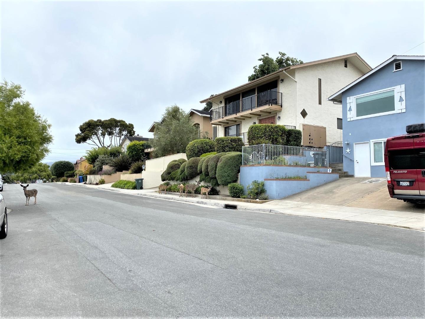Detail Gallery Image 4 of 32 For 621 Mcclellan Ave #STUDIO,  Monterey,  CA 93940 - 0 Beds | 1 Baths