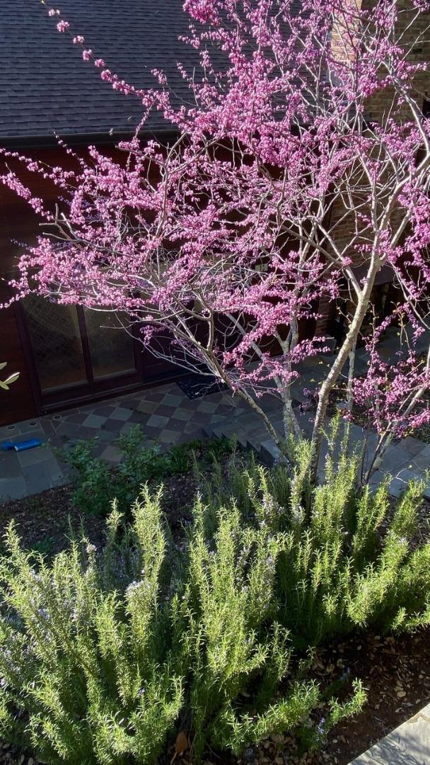Detail Gallery Image 66 of 66 For 16 Tiptoe Ln, Burlingame,  CA 94010 - 3 Beds | 2/1 Baths