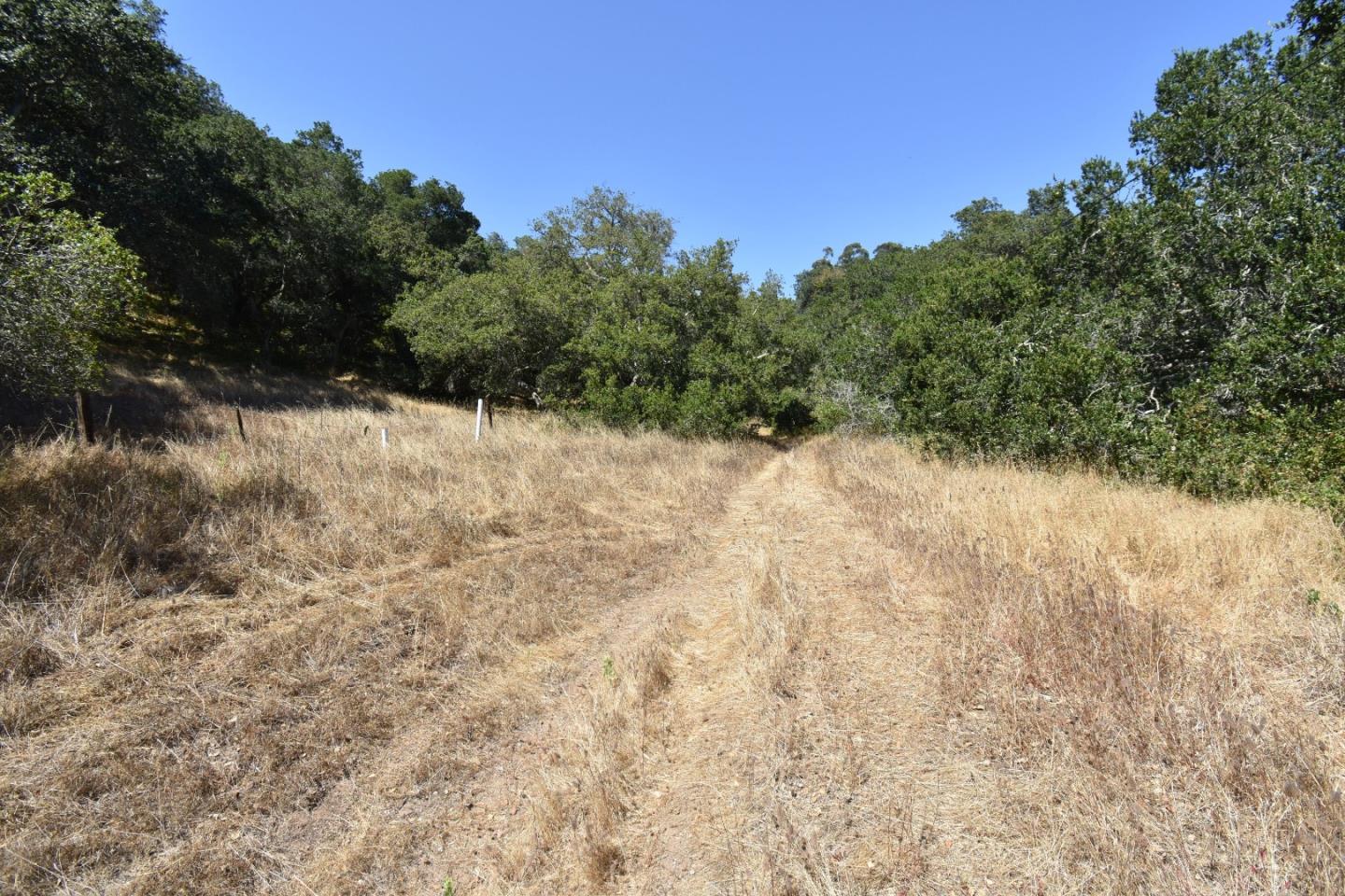 443a Alexander Ln, San Juan Bautista, CA 95045 Beds Baths