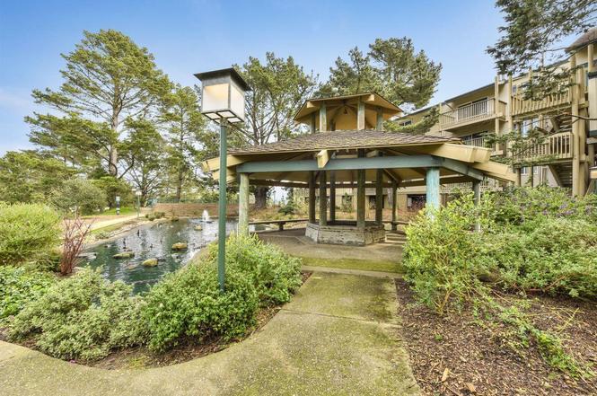 Detail Gallery Image 24 of 31 For 381 Half Moon Ln #305,  Daly City,  CA 94015 - 1 Beds | 1 Baths