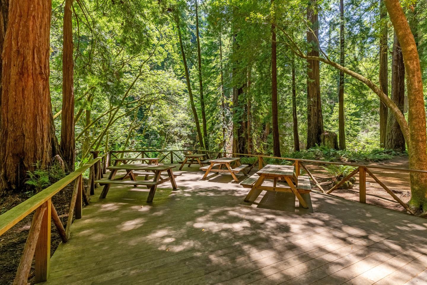 Detail Gallery Image 18 of 51 For 1900 Bear Gulch Rd, San Gregorio,  CA 94074 - 13 Beds | 11/1 Baths