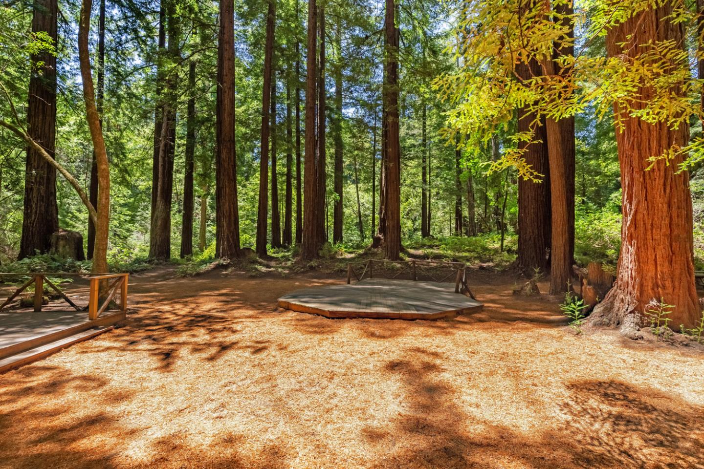 1900 Bear Gulch Rd, San Gregorio, CA 94074 13 Beds 11/1 Baths