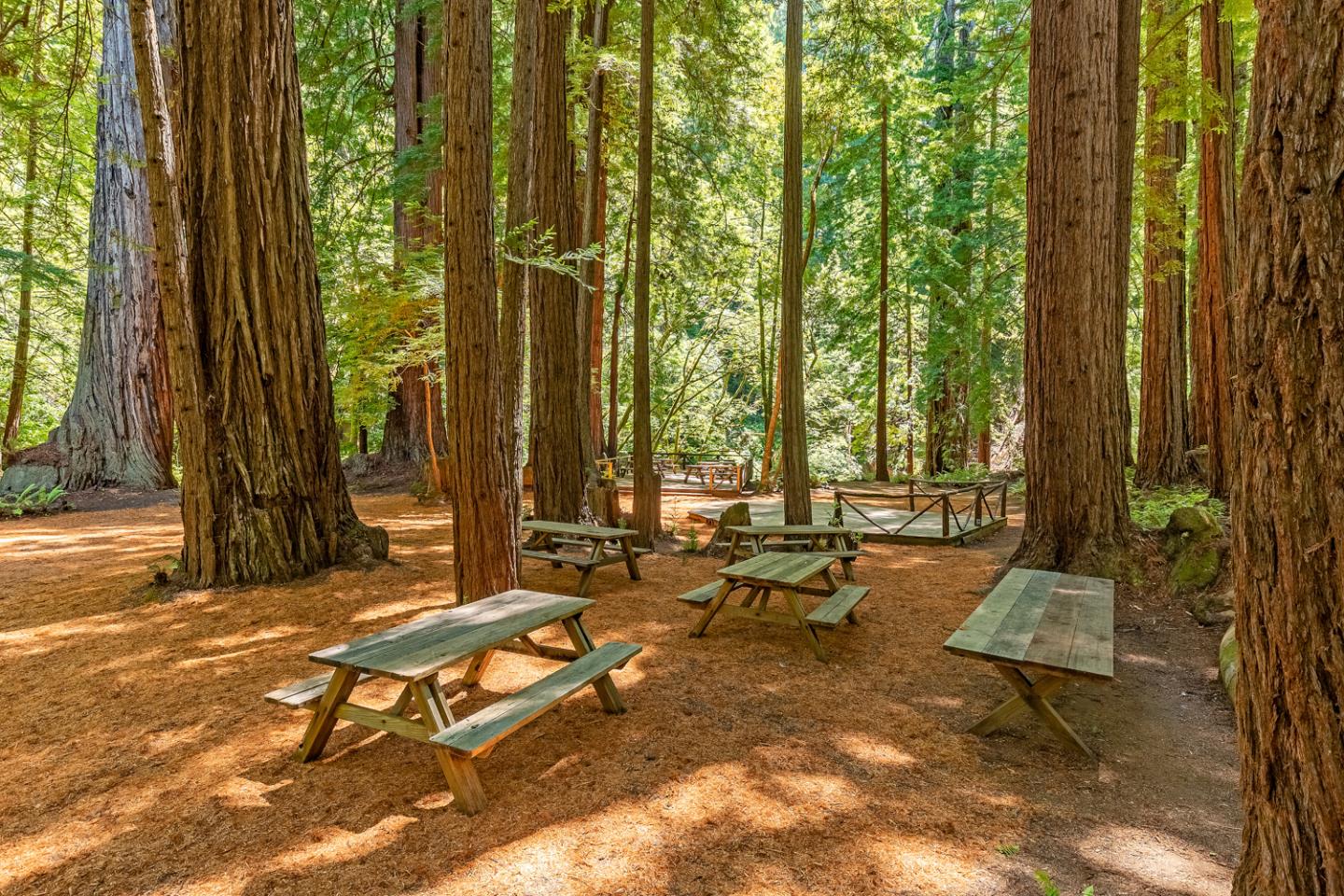 1900 Bear Gulch Rd, San Gregorio, CA 94074 13 Beds 11/1 Baths