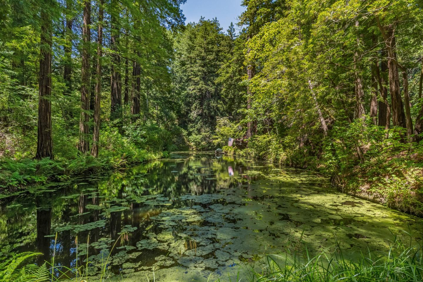 1900 Bear Gulch Rd, San Gregorio, CA 94074 Beds Baths (Active