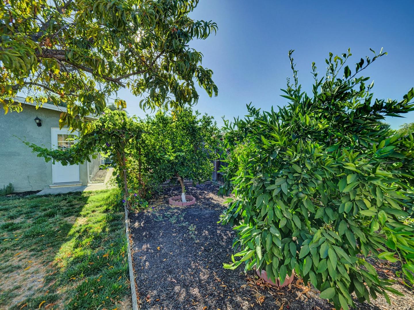 Detail Gallery Image 39 of 42 For 2763 Broadmoor Ave, Concord,  CA 94520 - 4 Beds | 2 Baths