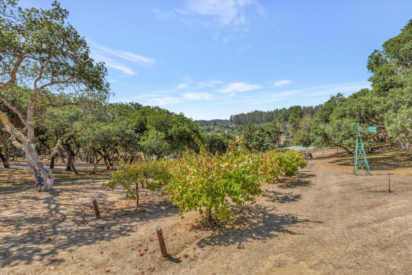 Detail Gallery Image 60 of 88 For 136 Echo Valley Rd, Salinas,  CA 93907 - 3 Beds | 2/1 Baths