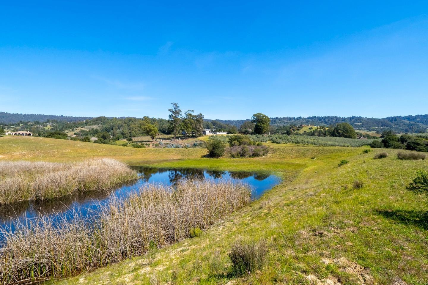 211 Smith Road, Watsonville, California 95076, ,Land,For Sale,211 Smith Road,ML81942204