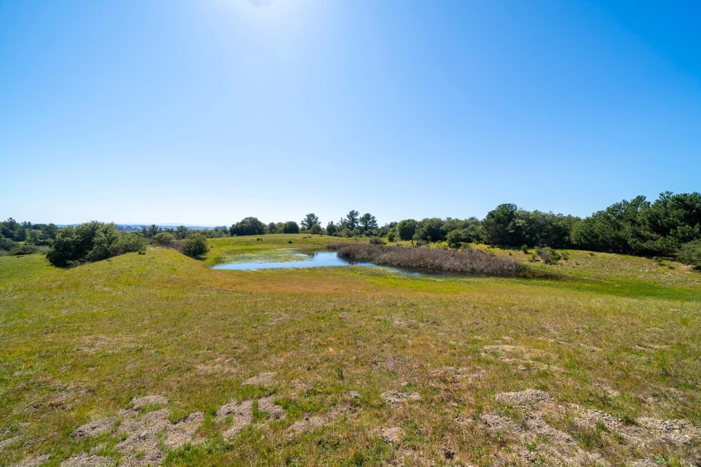 211 Smith Road, Watsonville, California 95076, ,Land,For Sale,211 Smith Road,ML81942204