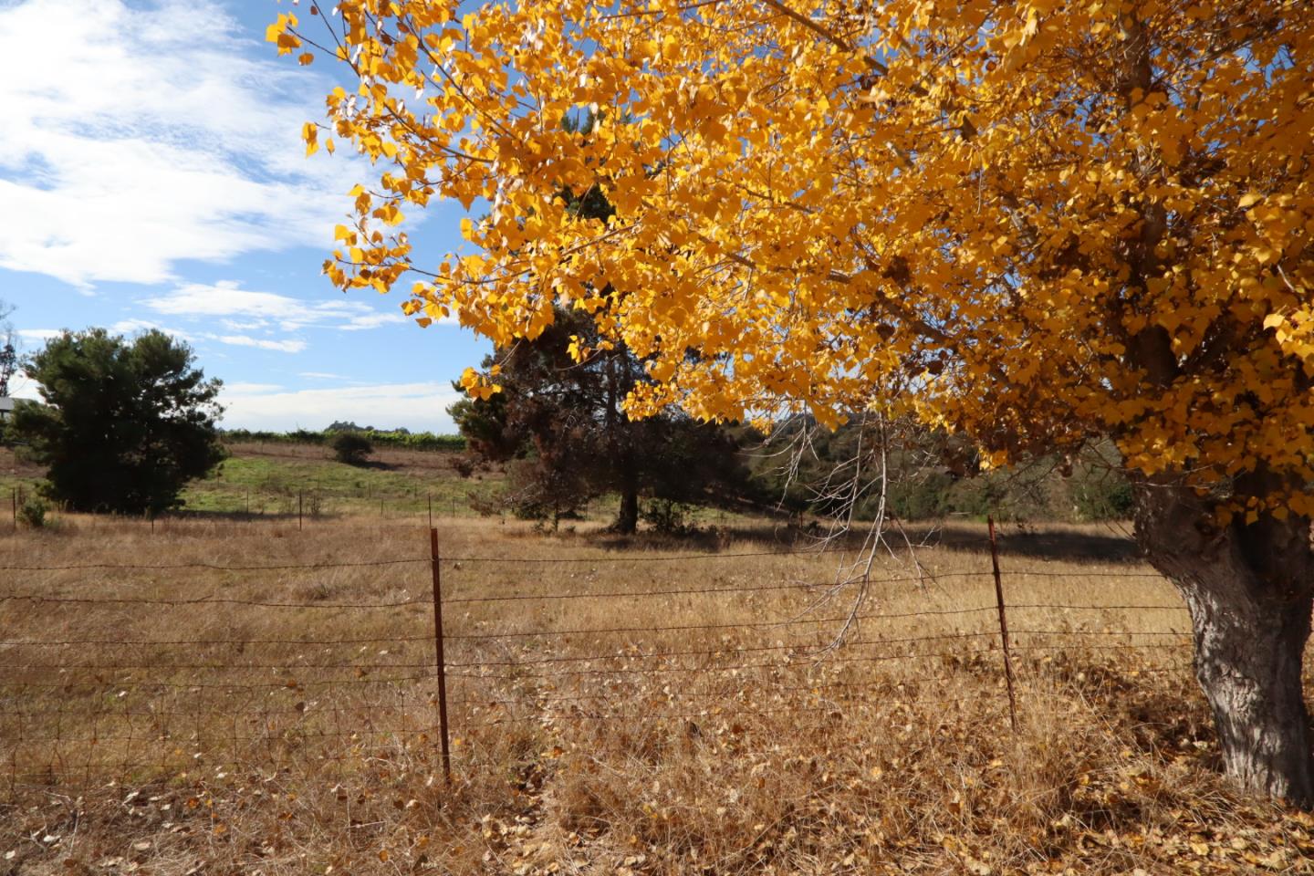 211 Smith Road, Watsonville, California 95076, ,Land,For Sale,211 Smith Road,ML81942204