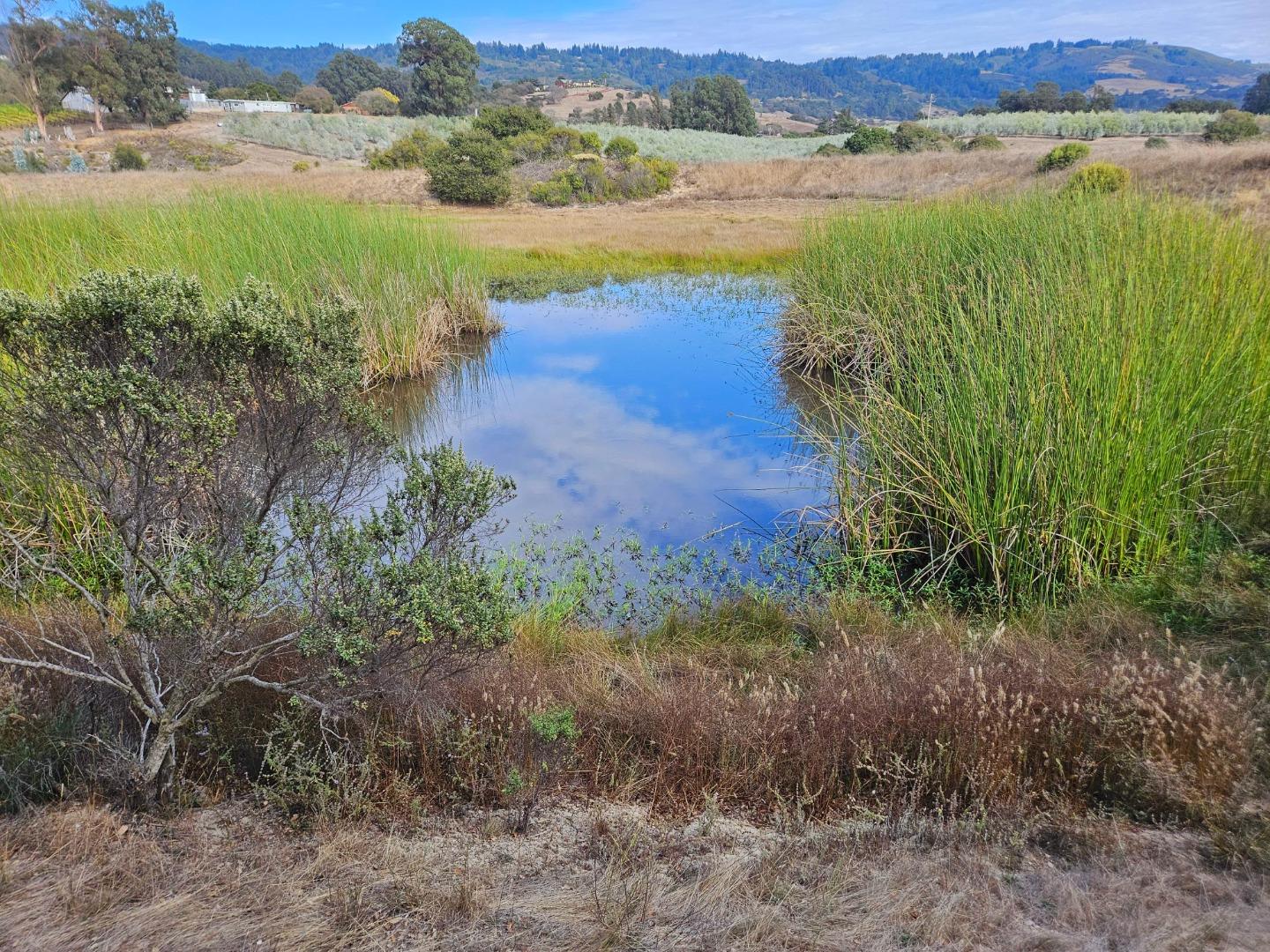 211 Smith Road, Watsonville, California 95076, ,Land,For Sale,211 Smith Road,ML81942204