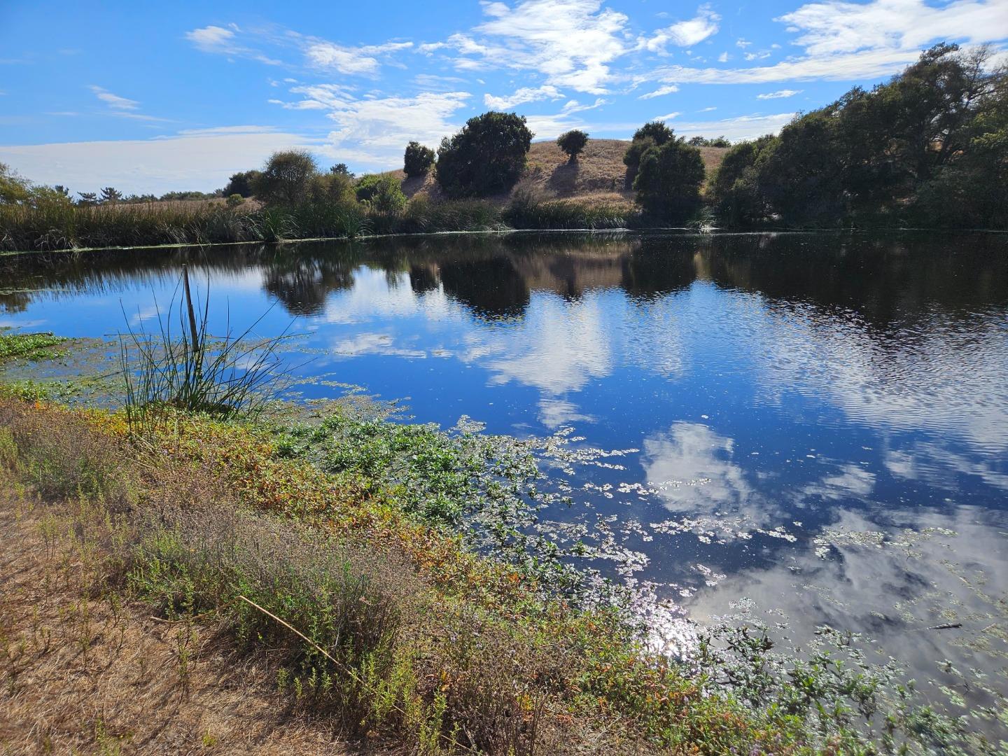 211 Smith Road, Watsonville, California 95076, ,Land,For Sale,211 Smith Road,ML81942204