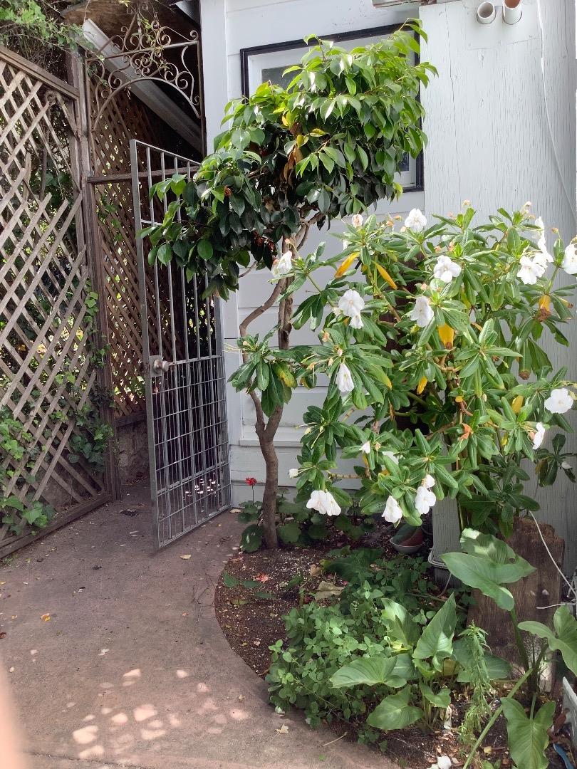 Detail Gallery Image 23 of 68 For 118 1st St, Santa Cruz,  CA 95060 - – Beds | – Baths