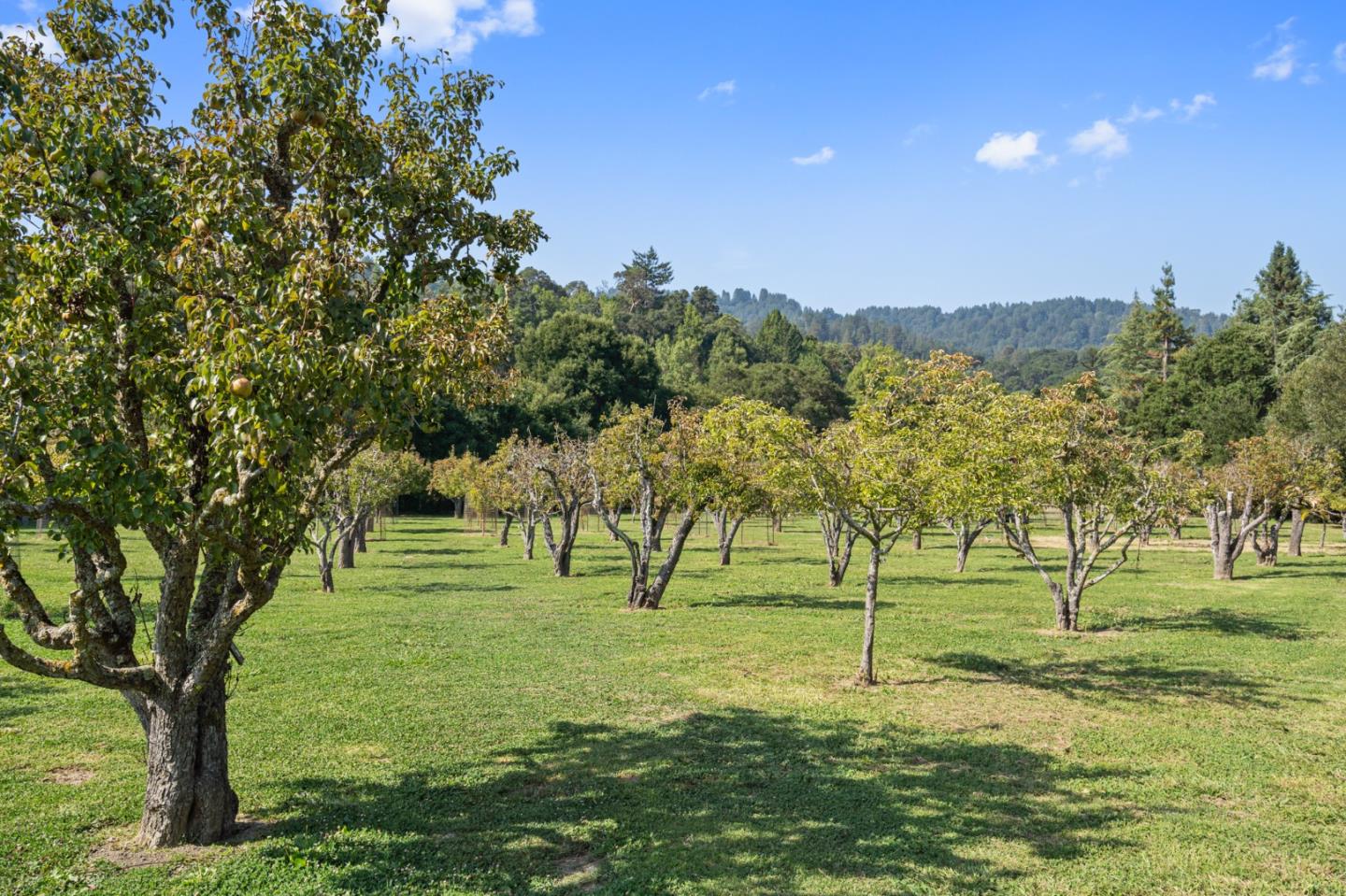 Detail Gallery Image 31 of 36 For 683 Portola Rd, Portola Valley,  CA 94028 - 3 Beds | 5/2 Baths