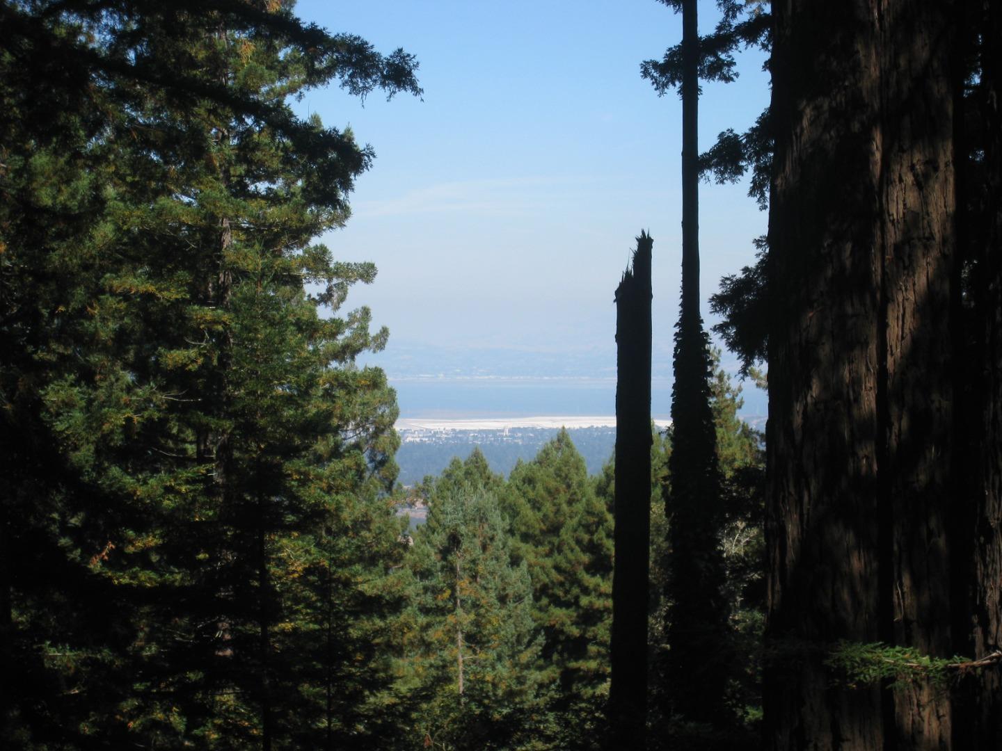 Photo of 27 Big Tree Wy in Woodside, CA