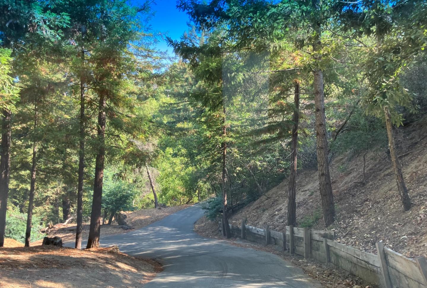 0 Old Logging Road, Los Gatos, California 95033, ,Land,For Sale,0 Old Logging Road,ML81944702