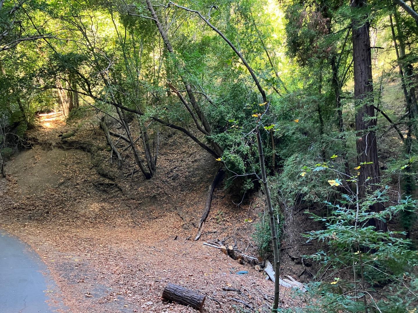 0 Old Logging Road, Los Gatos, California 95033, ,Land,For Sale,0 Old Logging Road,ML81944702