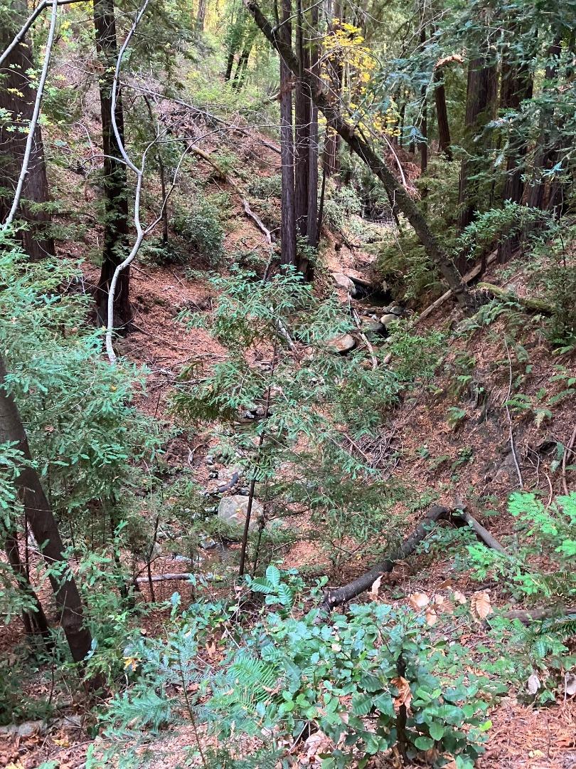 Detail Gallery Image 12 of 15 For 0 Old Logging Rd, Los Gatos,  CA 95033 - – Beds | – Baths
