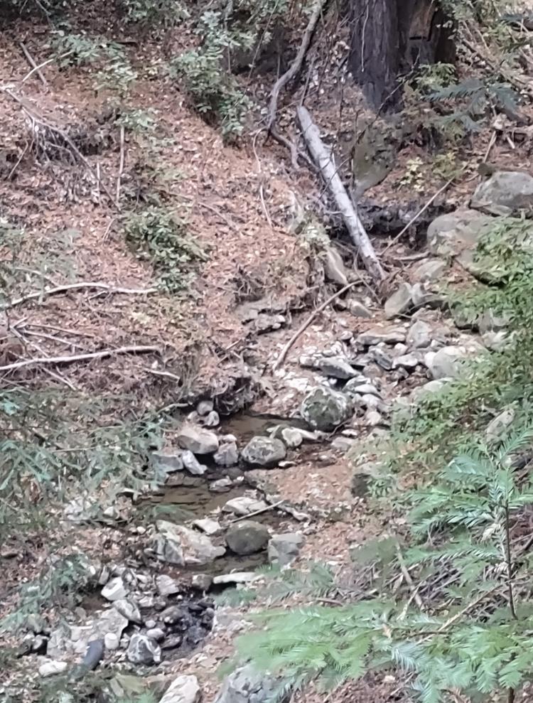 Detail Gallery Image 13 of 15 For 0 Old Logging Rd, Los Gatos,  CA 95033 - – Beds | – Baths