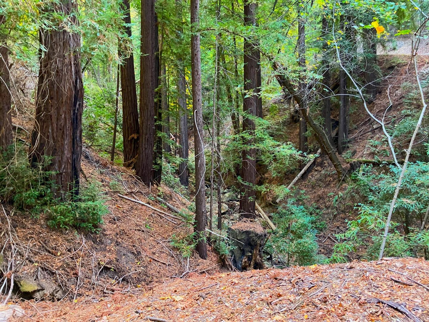 Detail Gallery Image 9 of 15 For 0 Old Logging Rd, Los Gatos,  CA 95033 - – Beds | – Baths