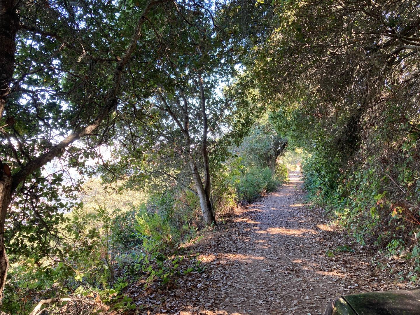 Detail Gallery Image 16 of 73 For Adamo Ranch, Carmel Valley Rd, Carmel,  CA 93923 - – Beds | – Baths