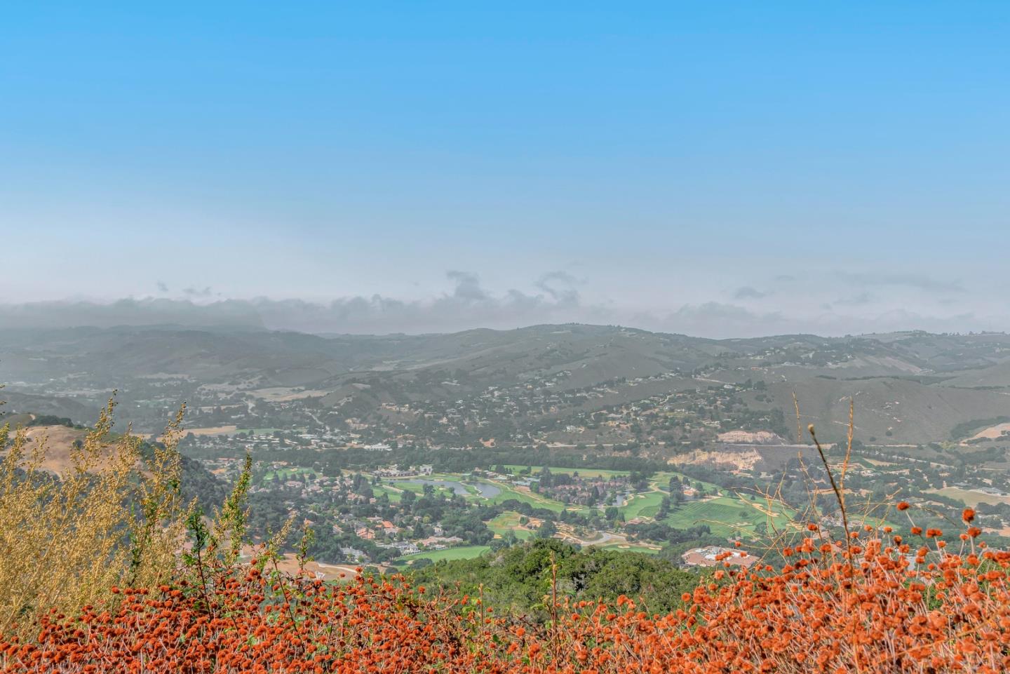 Adamo Ranch, Carmel, California 93923, ,Land,For Sale,Adamo Ranch,ML81944774