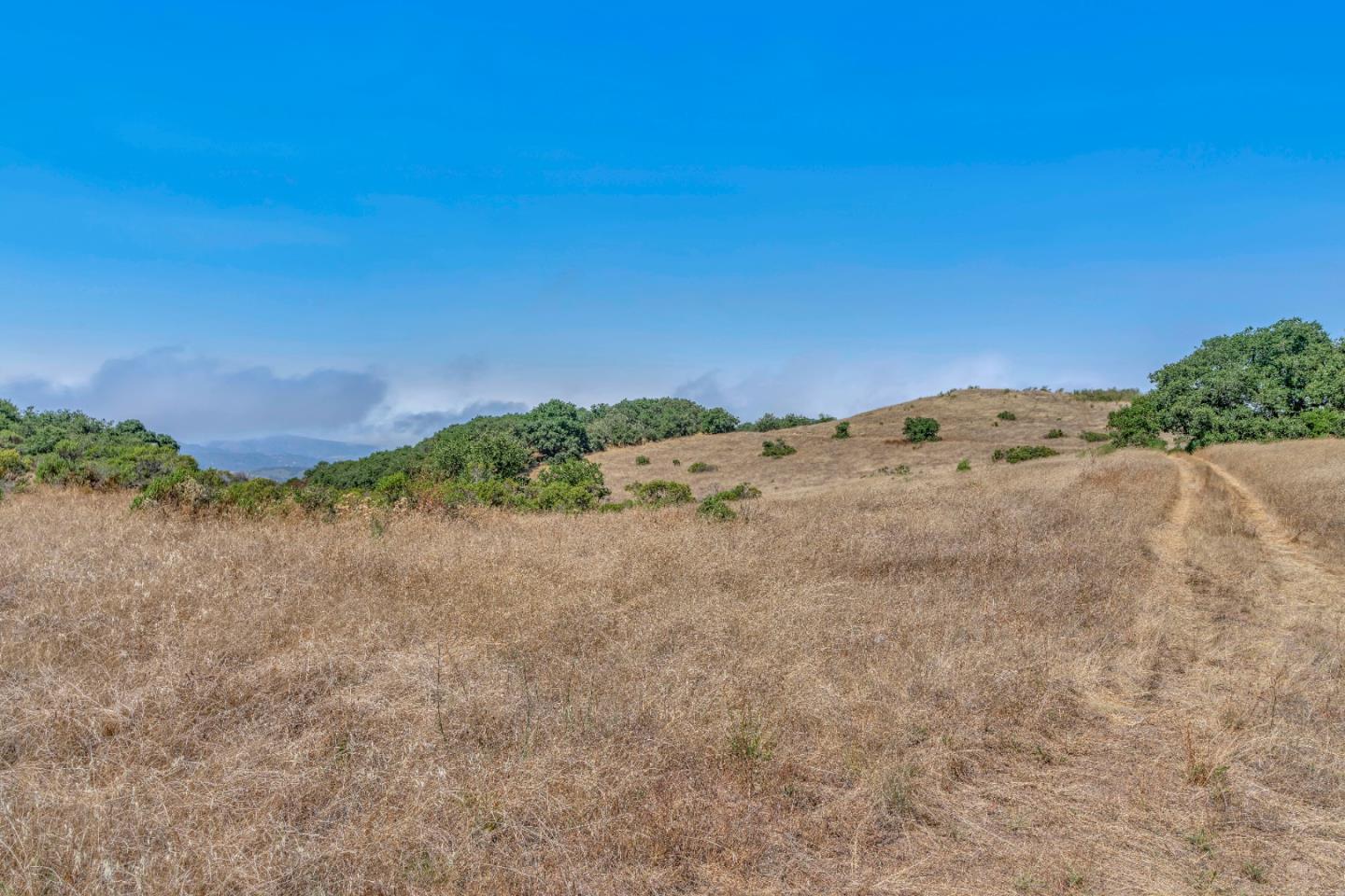 Adamo Ranch, Carmel, California 93923, ,Land,For Sale,Adamo Ranch,ML81944774