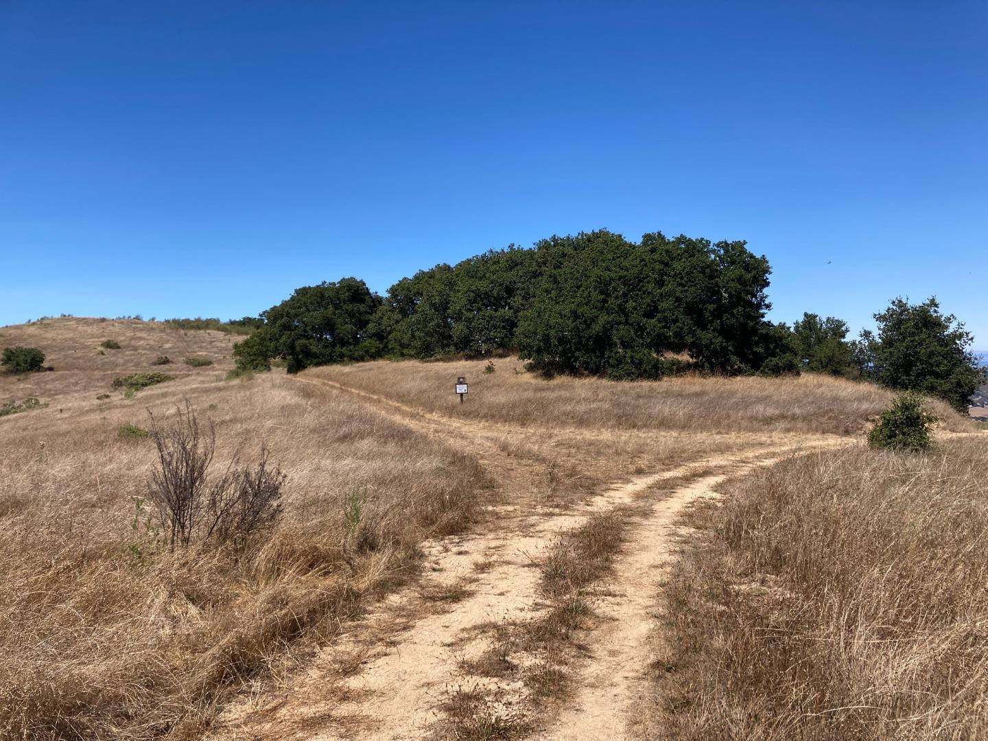 Adamo Ranch, Carmel, California 93923, ,Land,For Sale,Adamo Ranch,ML81944774