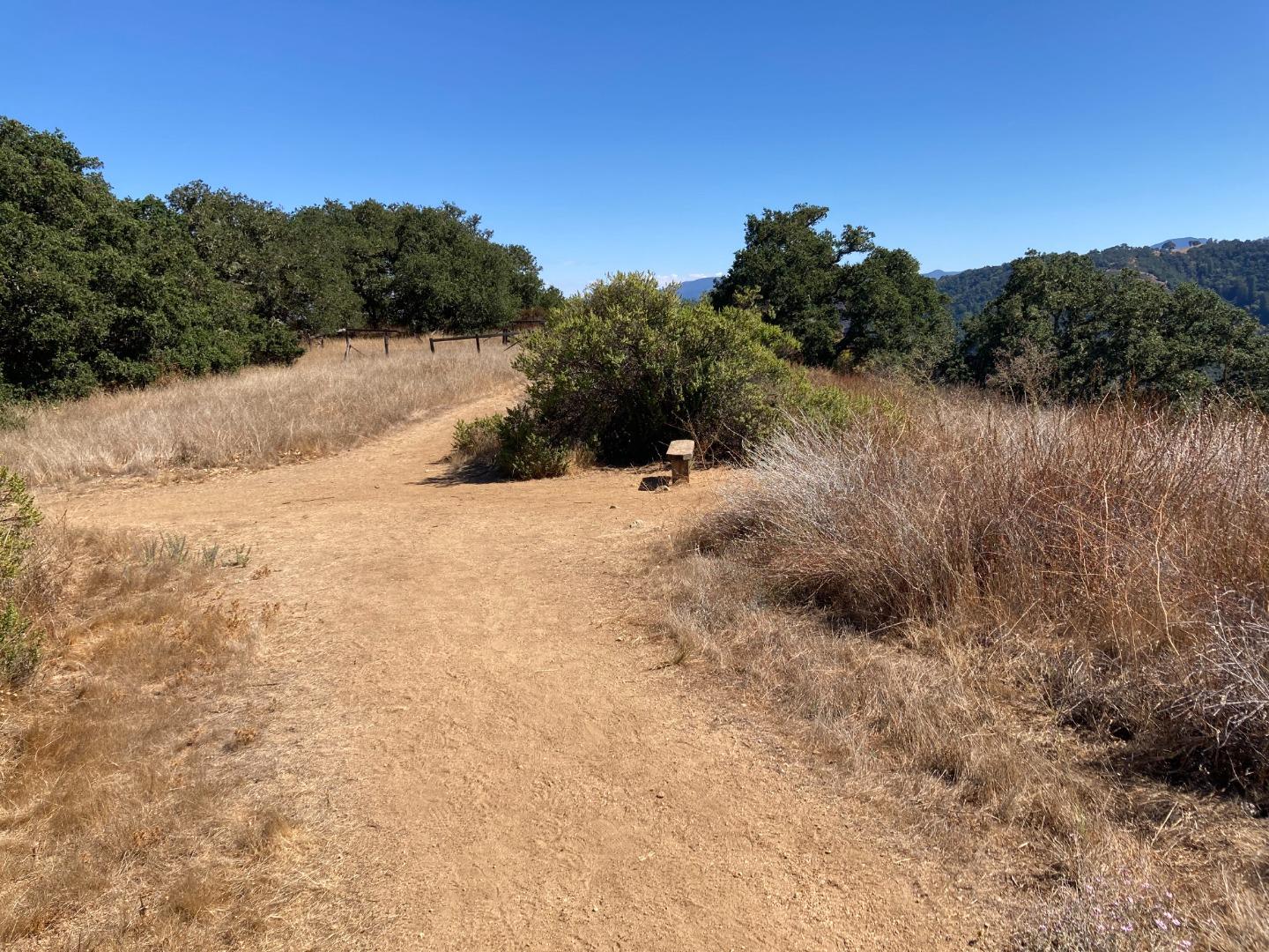 Adamo Ranch, Carmel, California 93923, ,Land,For Sale,Adamo Ranch,ML81944774