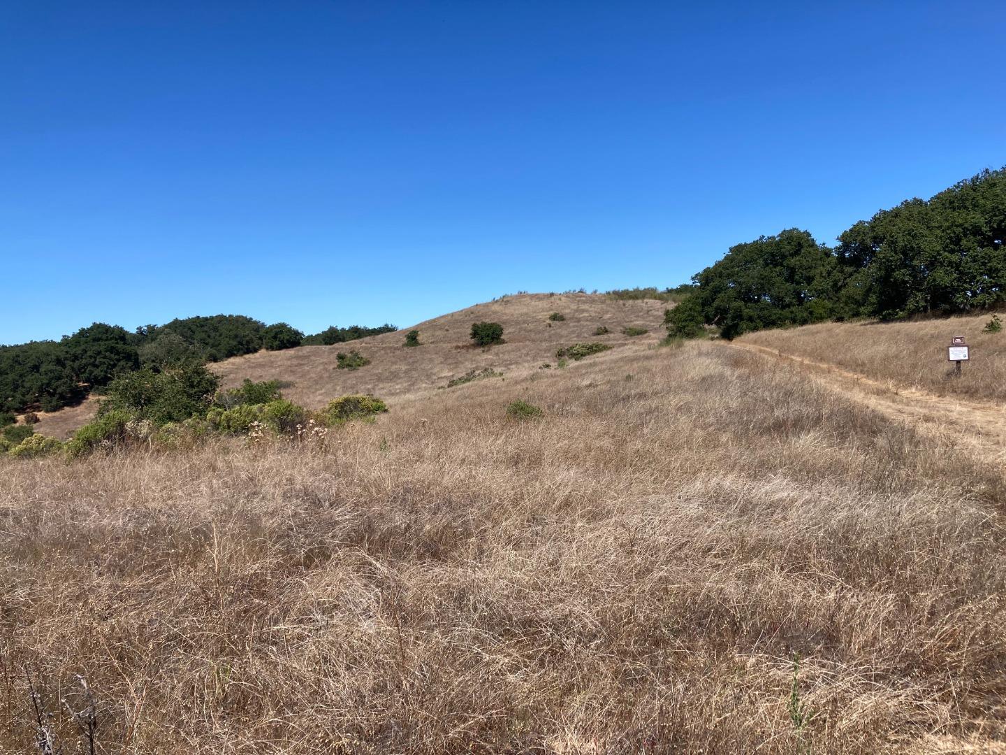 Adamo Ranch, Carmel, California 93923, ,Land,For Sale,Adamo Ranch,ML81944774