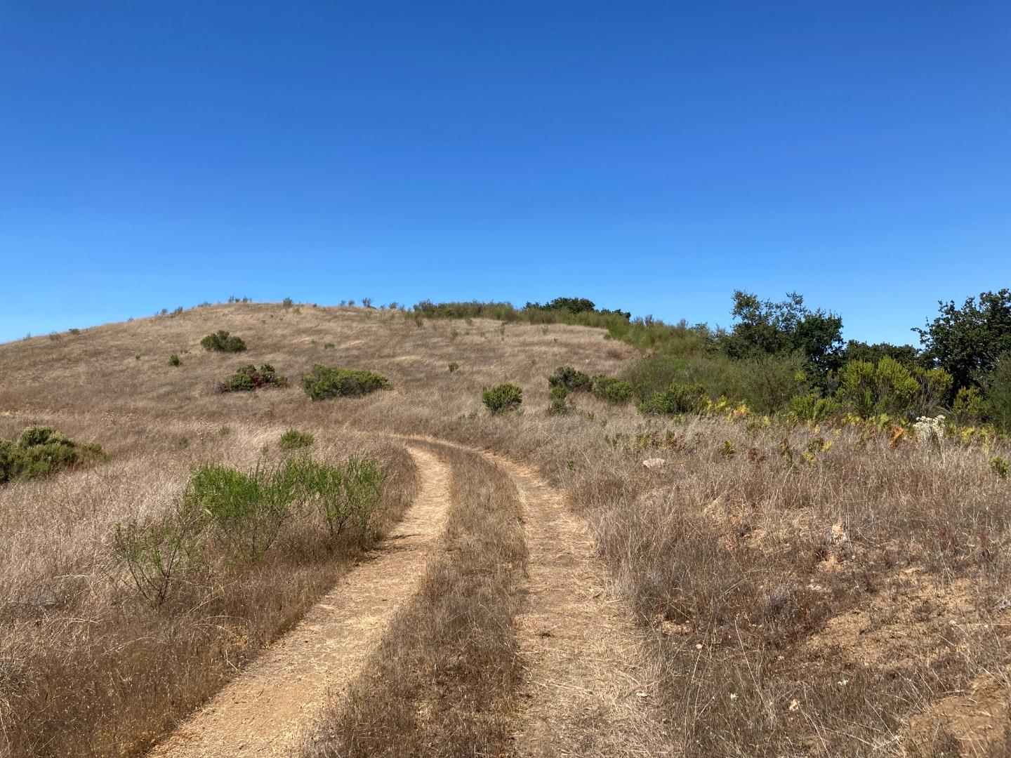 Detail Gallery Image 41 of 73 For Adamo Ranch, Carmel Valley Rd, Carmel,  CA 93923 - – Beds | – Baths
