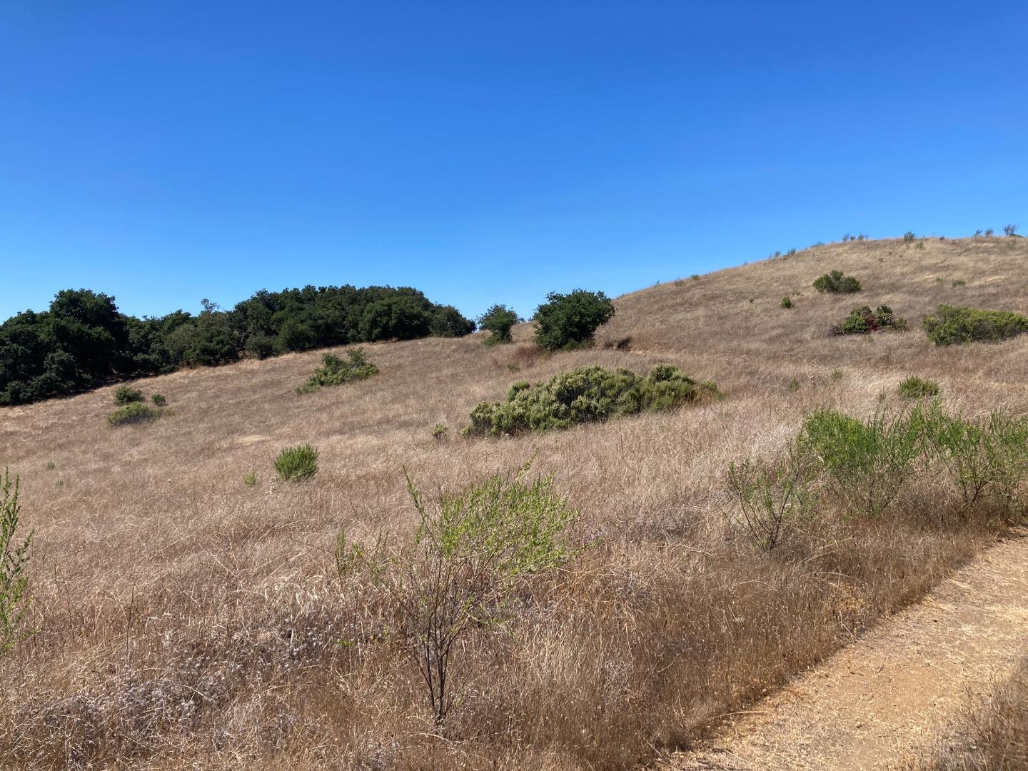Detail Gallery Image 42 of 73 For Adamo Ranch, Carmel Valley Rd, Carmel,  CA 93923 - – Beds | – Baths