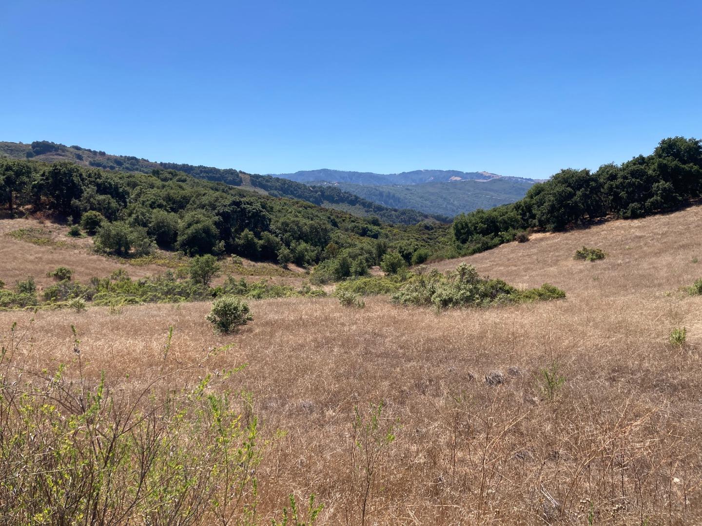 Detail Gallery Image 43 of 73 For Adamo Ranch, Carmel Valley Rd, Carmel,  CA 93923 - – Beds | – Baths