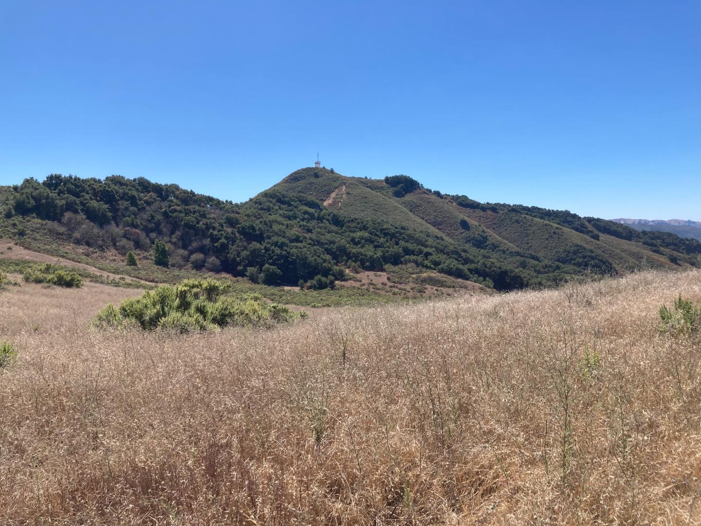 Detail Gallery Image 46 of 73 For Adamo Ranch, Carmel Valley Rd, Carmel,  CA 93923 - – Beds | – Baths