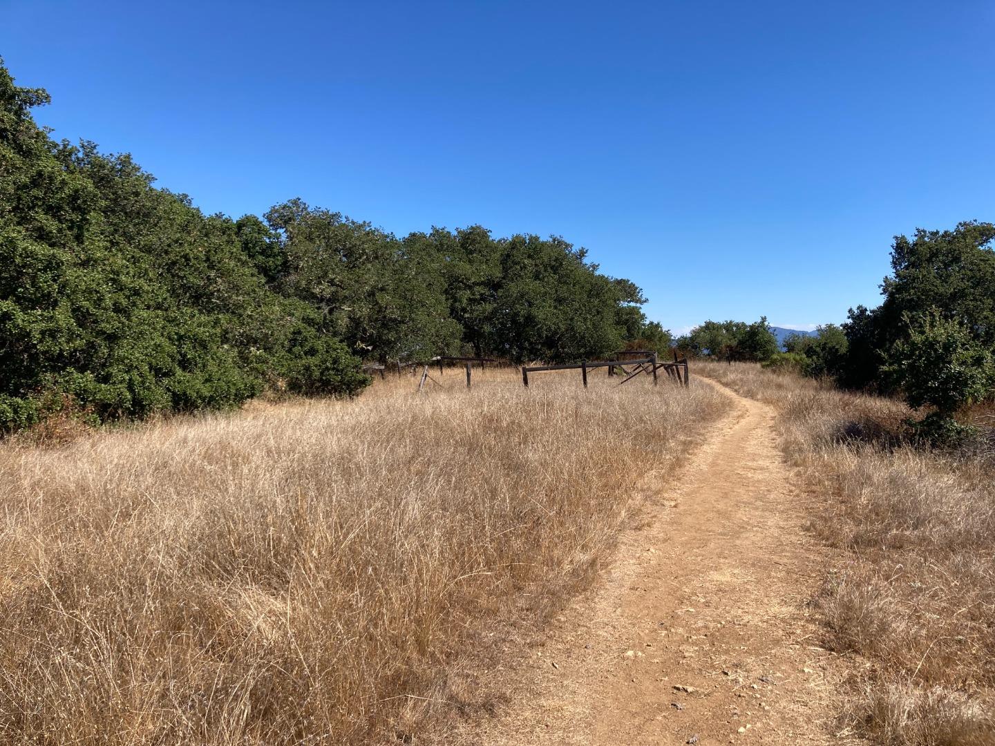 Adamo Ranch, Carmel, California 93923, ,Land,For Sale,Adamo Ranch,ML81944774