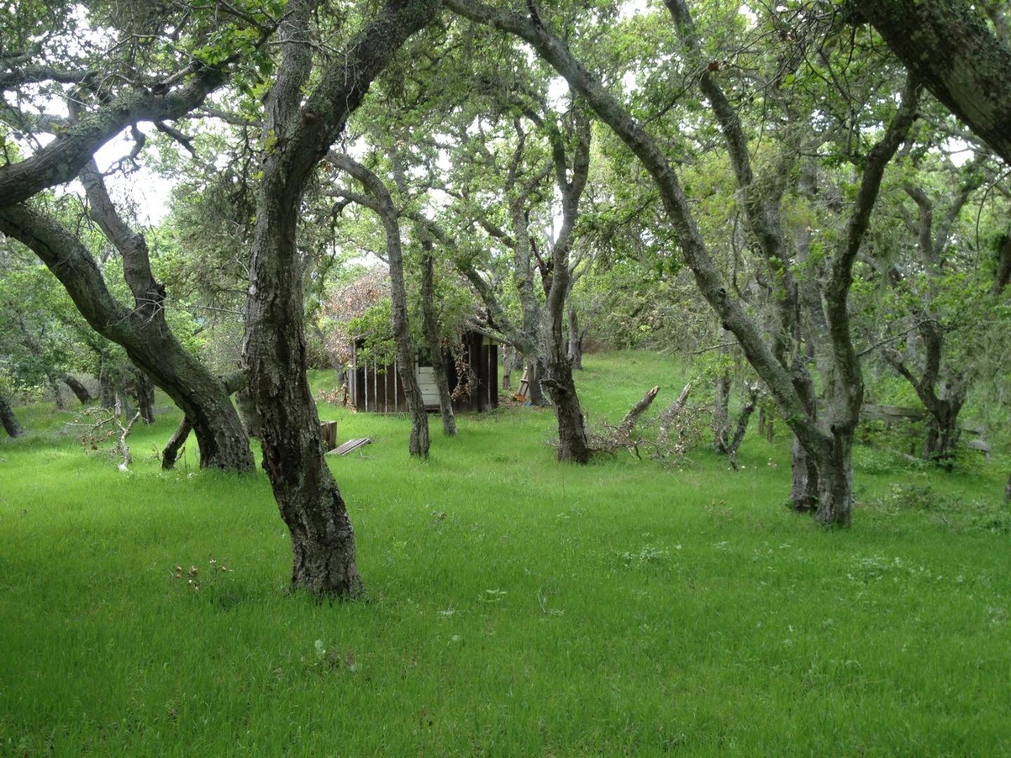 Detail Gallery Image 5 of 73 For Adamo Ranch, Carmel Valley Rd, Carmel,  CA 93923 - – Beds | – Baths