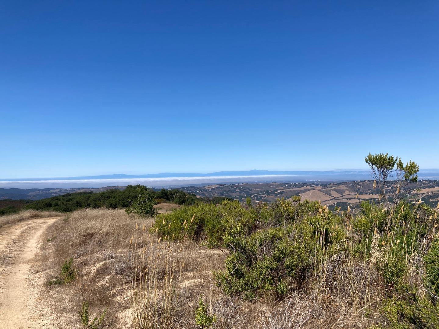 Adamo Ranch, Carmel, California 93923, ,Land,For Sale,Adamo Ranch,ML81944774