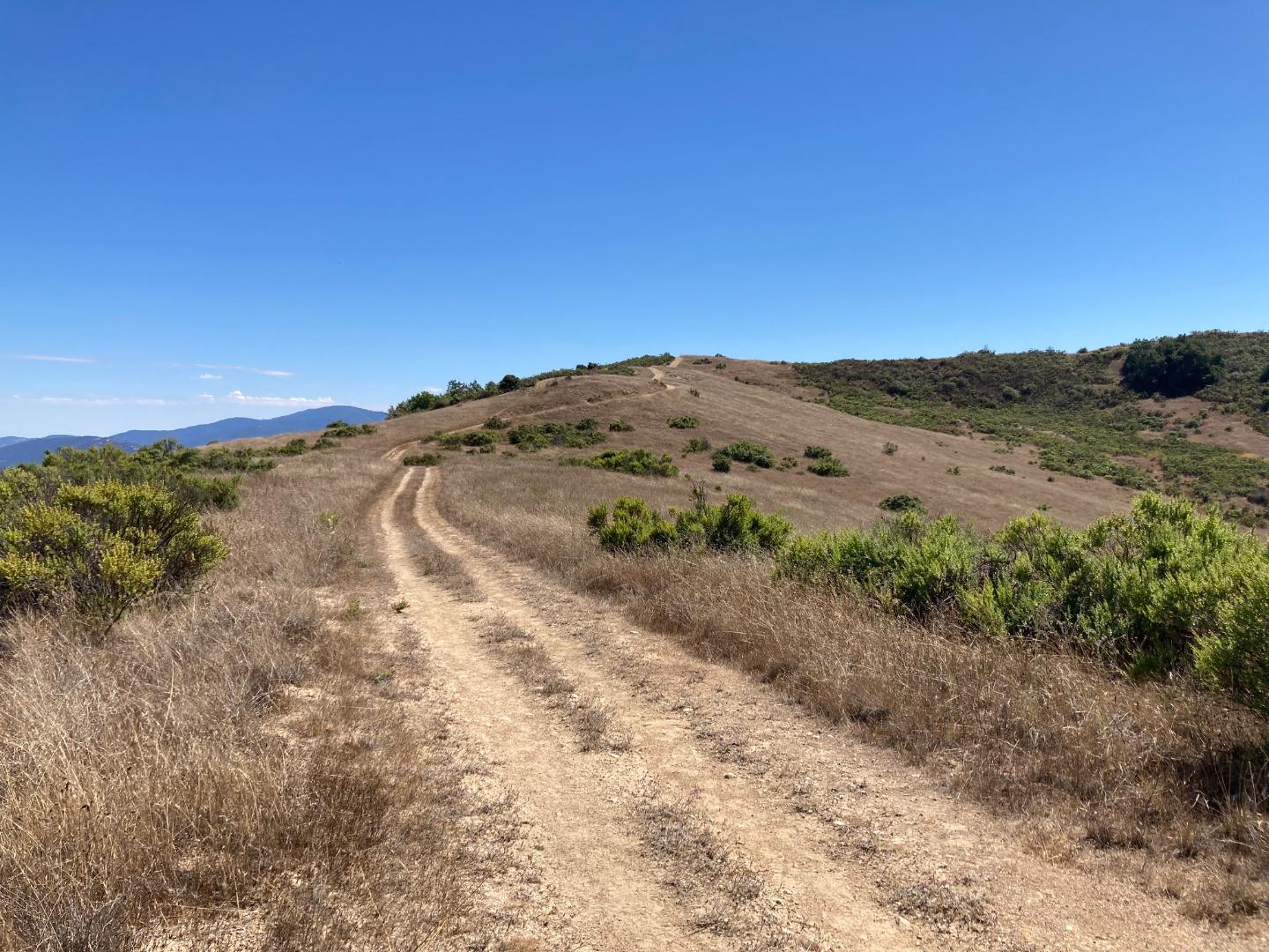 Adamo Ranch, Carmel, California 93923, ,Land,For Sale,Adamo Ranch,ML81944774