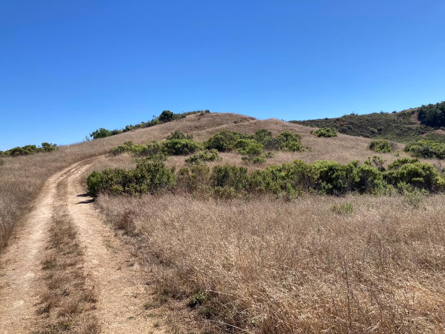 Detail Gallery Image 53 of 73 For Adamo Ranch, Carmel Valley Rd, Carmel,  CA 93923 - – Beds | – Baths