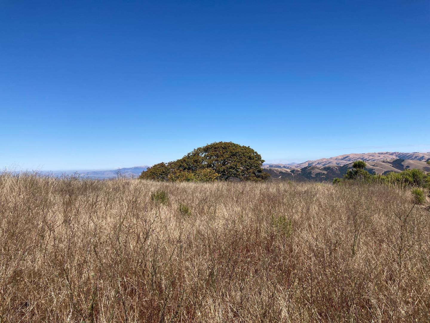 Adamo Ranch, Carmel, California 93923, ,Land,For Sale,Adamo Ranch,ML81944774