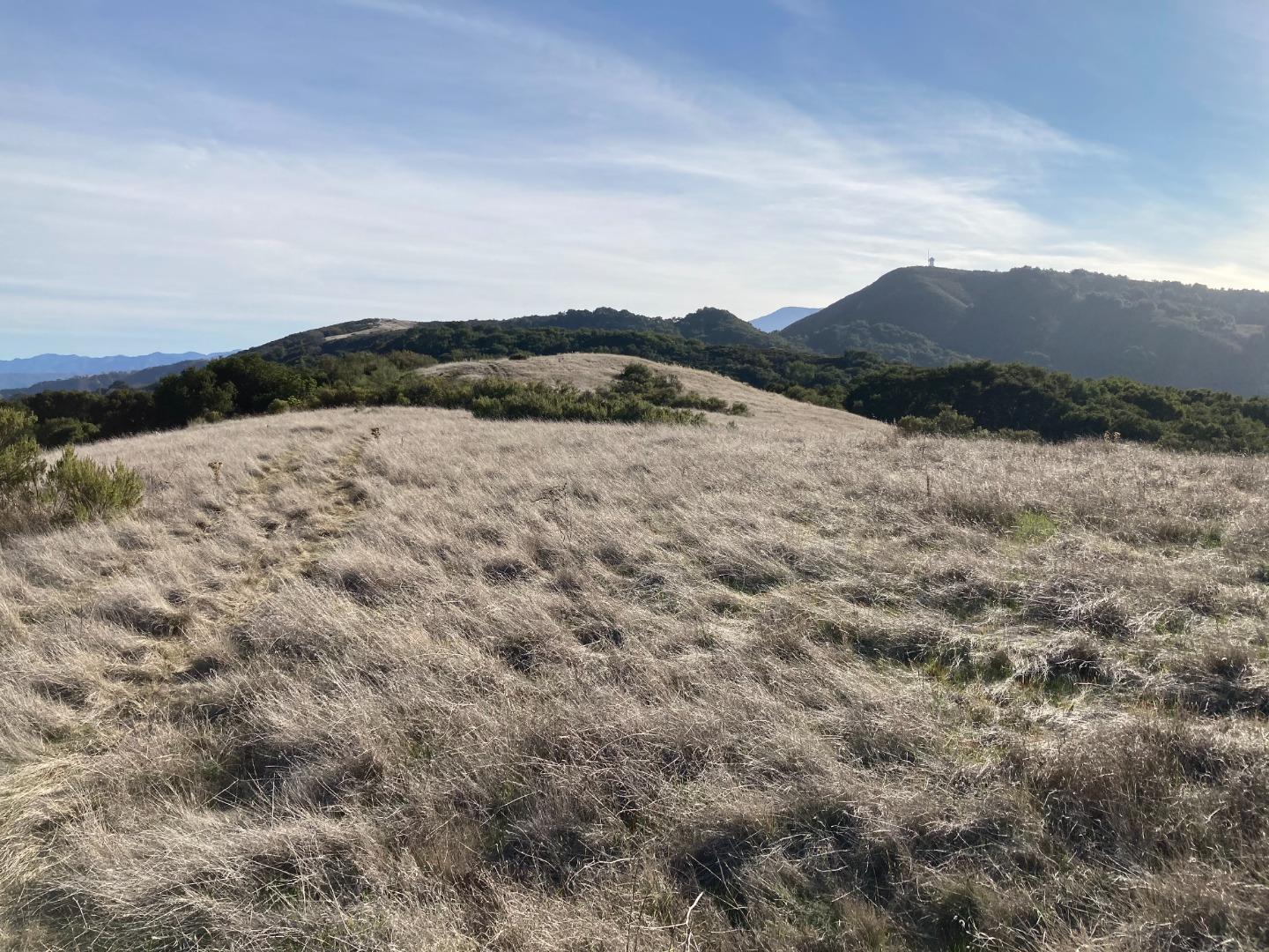 Adamo Ranch, Carmel, California 93923, ,Land,For Sale,Adamo Ranch,ML81944774