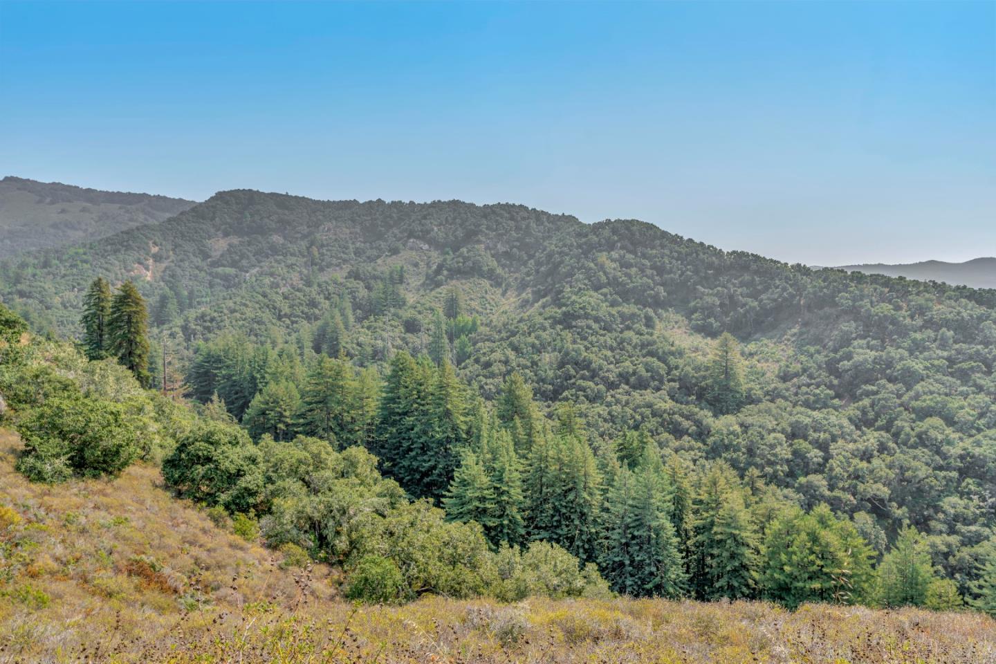 Detail Gallery Image 9 of 73 For Adamo Ranch, Carmel Valley Rd, Carmel,  CA 93923 - – Beds | – Baths