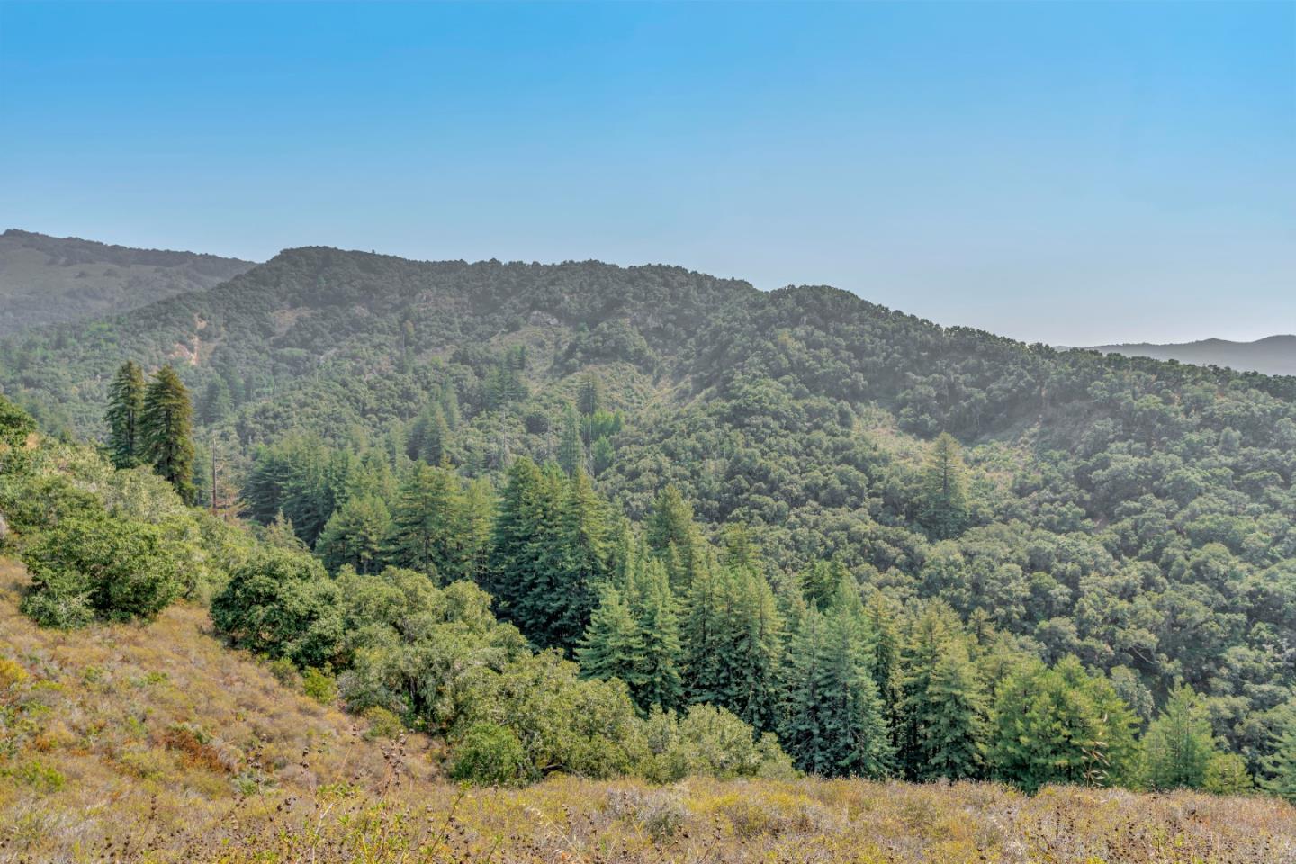 Adamo Ranch, Carmel, California 93923, ,Land,For Sale,Adamo Ranch,ML81944774