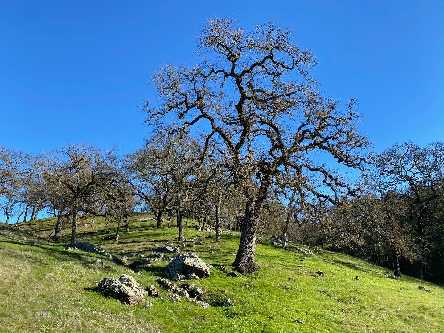 0 W San Martin Ave, San Martin, CA 95046 Beds Baths (Active