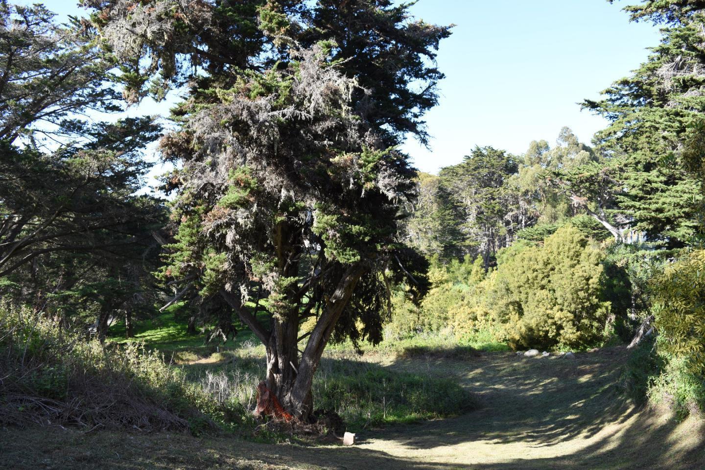 Detail Gallery Image 6 of 10 For 0000 Spindrift Rd, Carmel Highlands,  CA 93923 - – Beds | – Baths